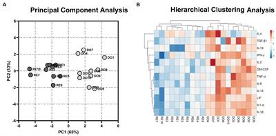 Cytokine profile in peripheral blood mononuclear cells differs between embryo donor and potential recipient sows